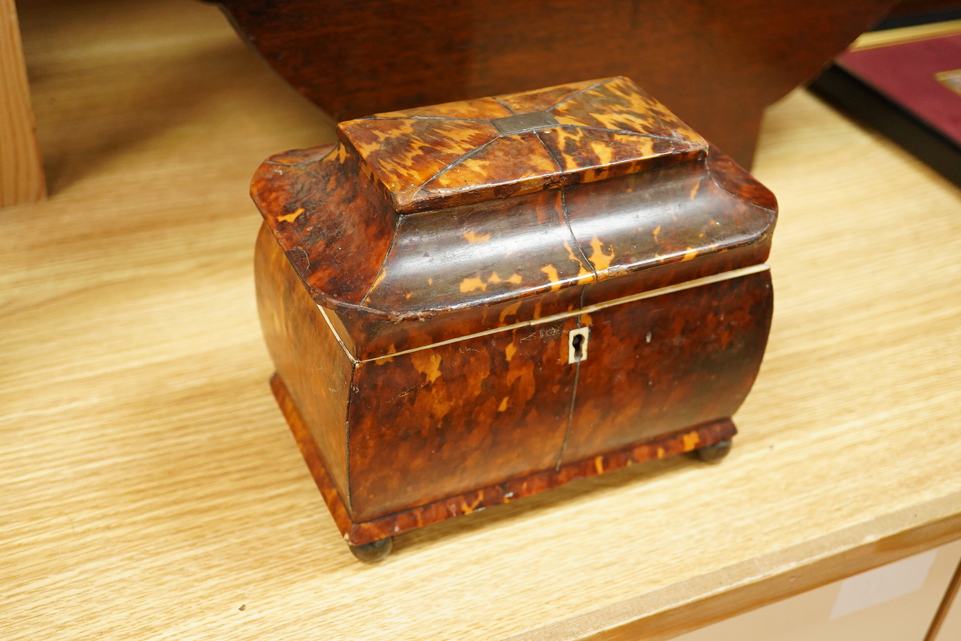 A Regency tortoiseshell tea caddy (damaged) and a mahogany cheese coaster, 43cm wide